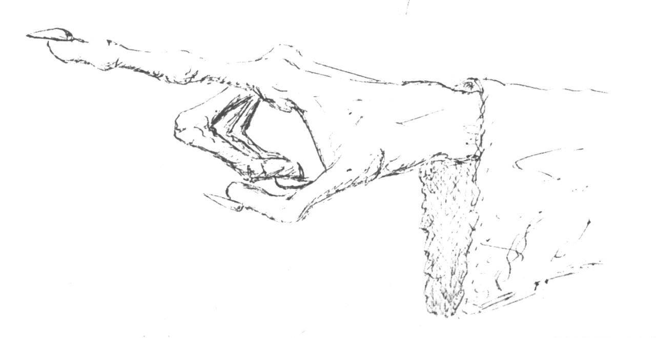 Prst (Finger)